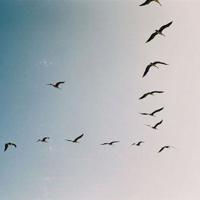 鬼故事之无尽的宿舍楼