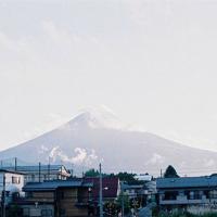 黄河滩涂（组诗）