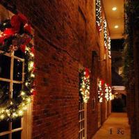 不要轻易拔去杂草