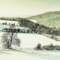 100句经典的超级搞笑短信_搞笑句子