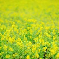 幽灵酒吧之双胞胎