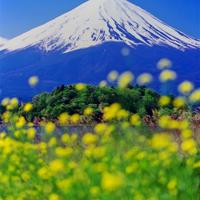 小时代顾里经典语录欣赏