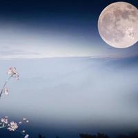 善待男人就是善待自己