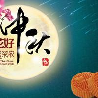 宠物店之黑猫--上