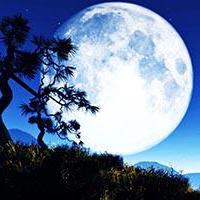 抬起头来做事、低下头做人