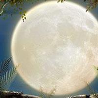 当我们的青春渐渐苍老