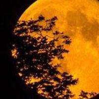 让生命绽放光彩