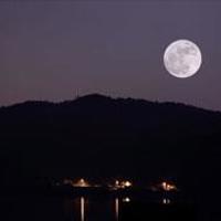 我和大学教师的初恋一去不回