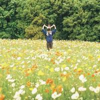 用生命谱写的母爱