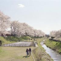 等你发现时间是贼了,早已偷光了你的选择