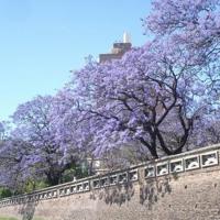 怯弱是一种智慧