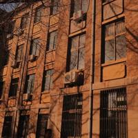 在一颗闲心里寻找归宿