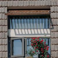 这千娇百媚的世间，总有一片风景，能装点我们