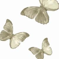 描写春雨的优美文章摘抄