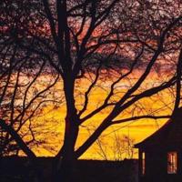 人生过的是心情，生活活的是心态