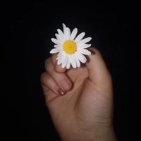 心寒决定放手的说说伤感心情语录:我不想再患得患失了