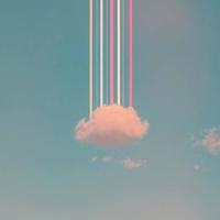 清新美好励志图片_浪漫美好的清新花朵