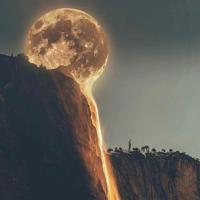 芝麻花开的日子