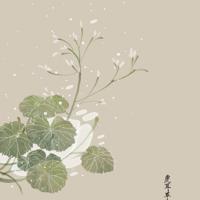 相爱了,就让我们一起学着被爱
