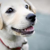 那些让人缄默与流泪的时刻