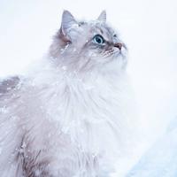 挥别昨天拥抱未来