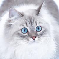 手中物件意境图片_手中遗失的美好