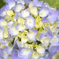 365个灵异职业故事:护林员