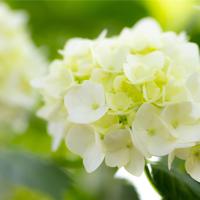 治愈系文字唯美图片_温暖治愈心情的文字