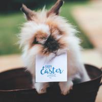 美文摘抄600字大全