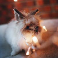 100句能笑死人的搞笑句子_100句句子