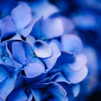 当你意识不到时，你会受伤，会流泪。