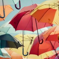 你既然抛弃了我们的爱情,那我也没有必要去强求