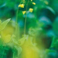 妈妈，你是我心中永远最美丽而动容的女人