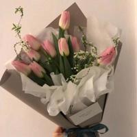 关于友情的经典语录 关于友情的经典句子大全