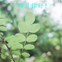 拯救潦倒的老公