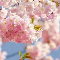 情感口述｜如果有来生，我一定嫁给他！