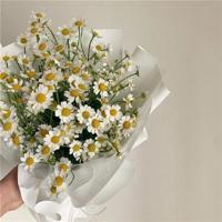 世界上最好的友情,是你不必等我