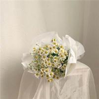 君莫忧愁，君莫伤