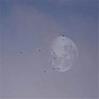 让生命焕发光彩