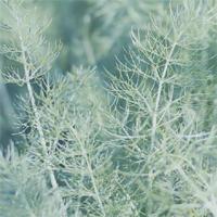 相爱是两个人的天长地久，相思是一个人的地老天荒。