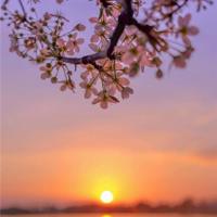 60句暧昧的话为心动的ta而收藏