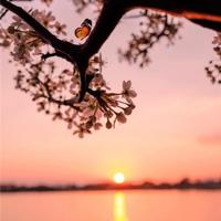 今夜，我醉了酒