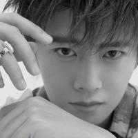 他人的故事,自己的镜子