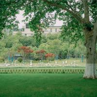 中外名著人物动作描写的片段