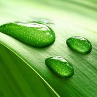 生命里，总会有一朵祥云为你缭绕