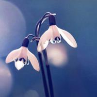 等你在明年的春风里