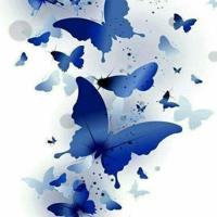 绝不服输绝不低头的励志名言