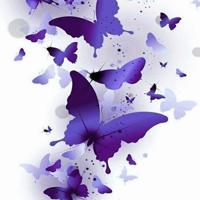 最美不过初相逢