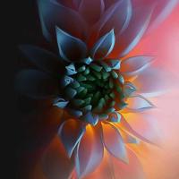 生命中最重要的事情