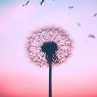 老公，我想对你说